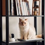 Kasa - Cámara de seguridad inteligente para interiores - 1080p - Imagen 6
